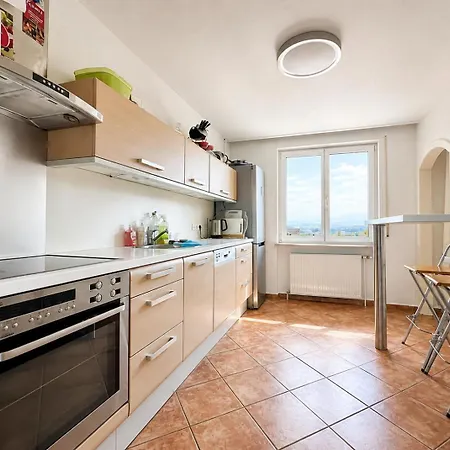 Large With Terrace - Gmunden District *