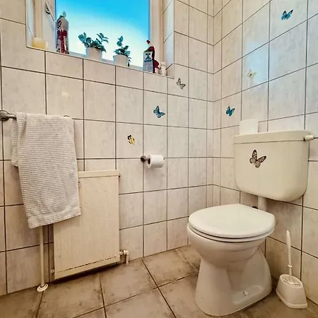 Large With Terrace - Gmunden District Daire